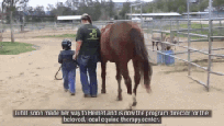 T.H.E Centre for Horse Riding and Coaching